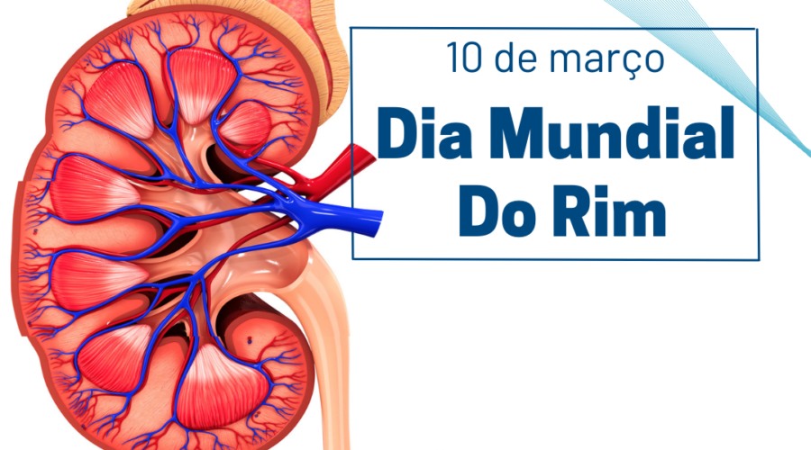 10/03 dia do rim
