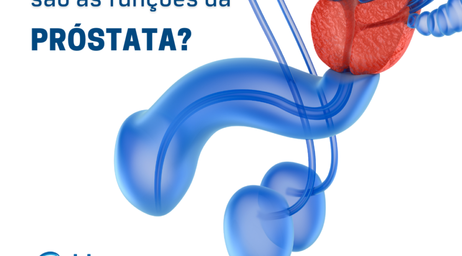 Prostata