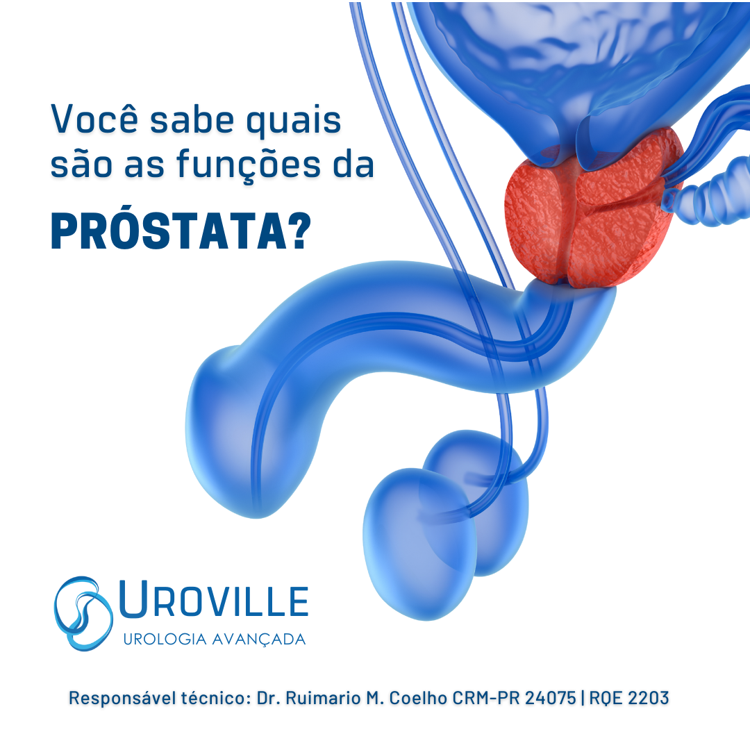 Prostata